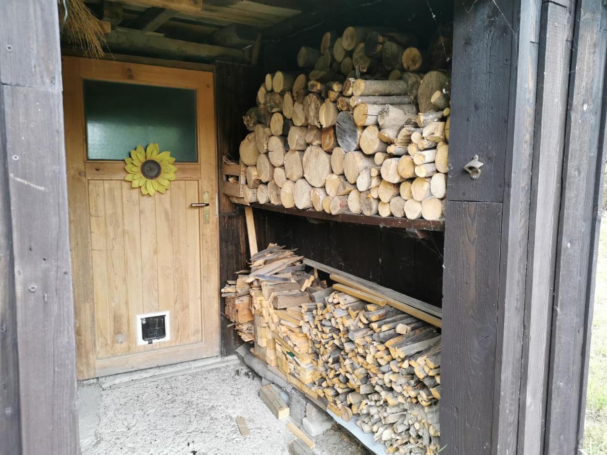 Ferienwohnung Ferienhaus Natur Pur Thale Exterior foto