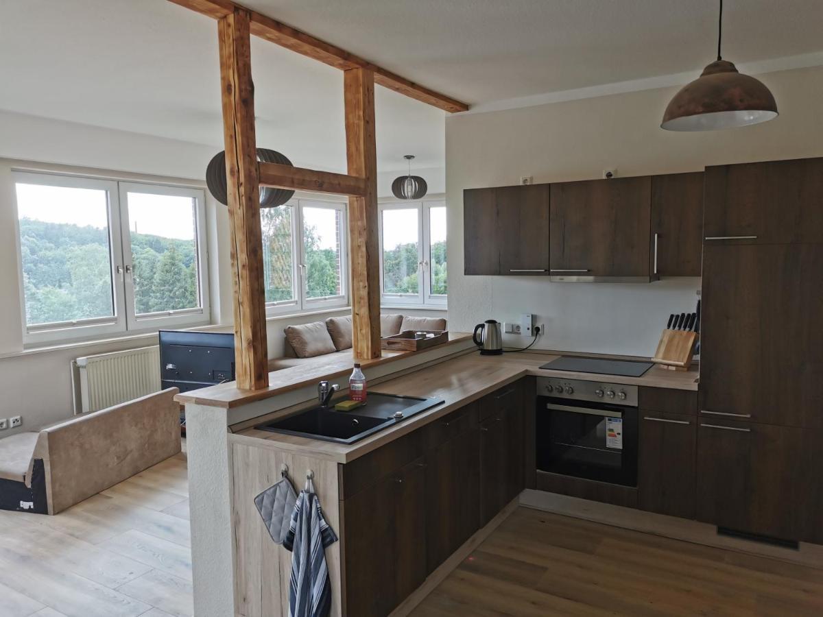 Ferienwohnung Ferienhaus Natur Pur Thale Exterior foto