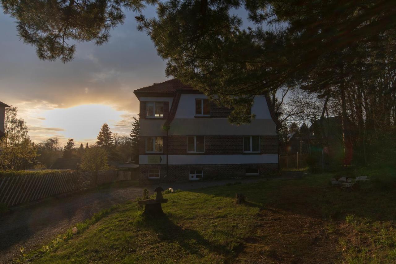 Ferienwohnung Ferienhaus Natur Pur Thale Exterior foto